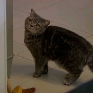 Meet your Posher, Brandon